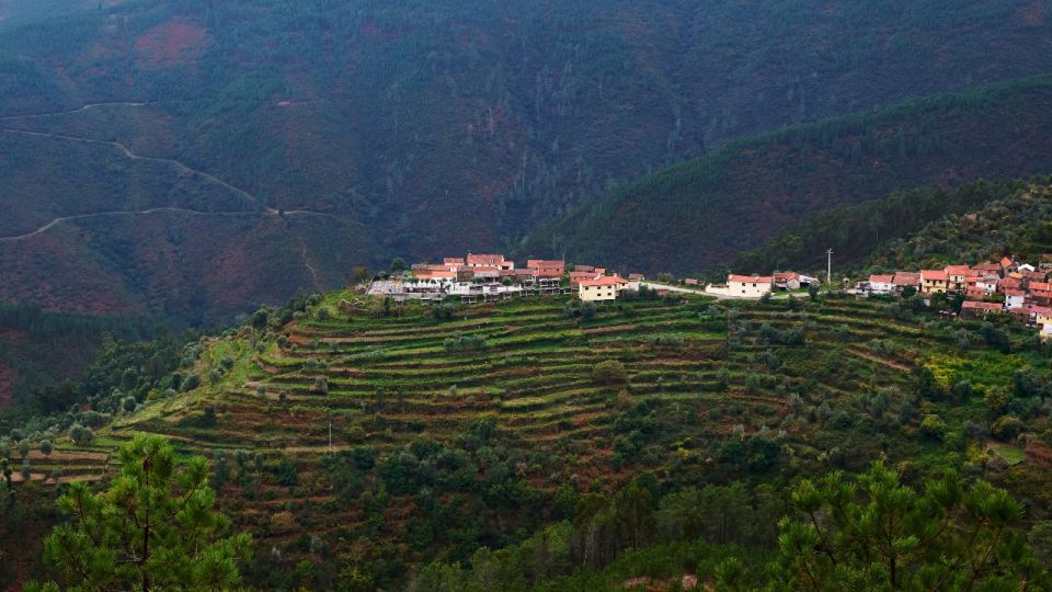 From Porto: Arouca Geopark Private Day Trip - Culinary Delights