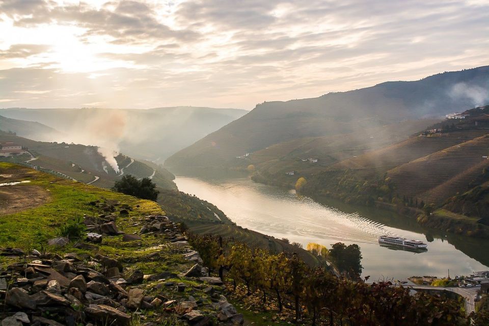 From Porto: Pinhão and Douro Valley Scenic Boat Tour - Panoramic Douro Valley Views