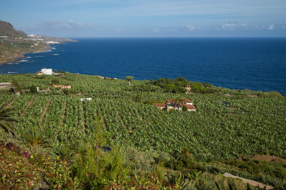 From South Tenerife: VIP Grand Tour Tenerife Island - Local Cuisine Experience