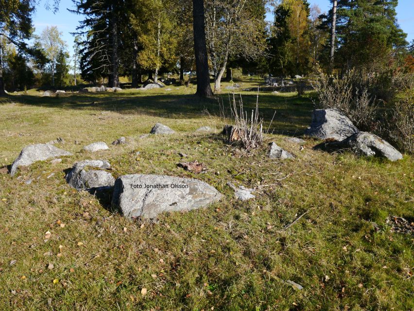 From Stockholm: Viking Culture and Heritage Small Group Tour - Exploring Runestones and Viking Road Building