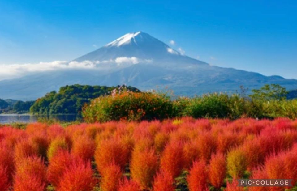 From Tokyo/Hakone/Fuji: Hakone & Mt. Fuji Day Trip W/Pickup - Customer Feedback and Ratings