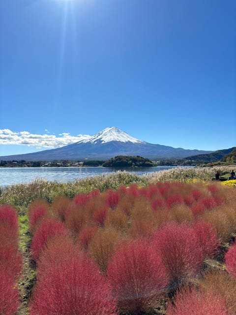 From Tokyo: Mt. Fuji Private Car Day Trip With Guide - Important Information