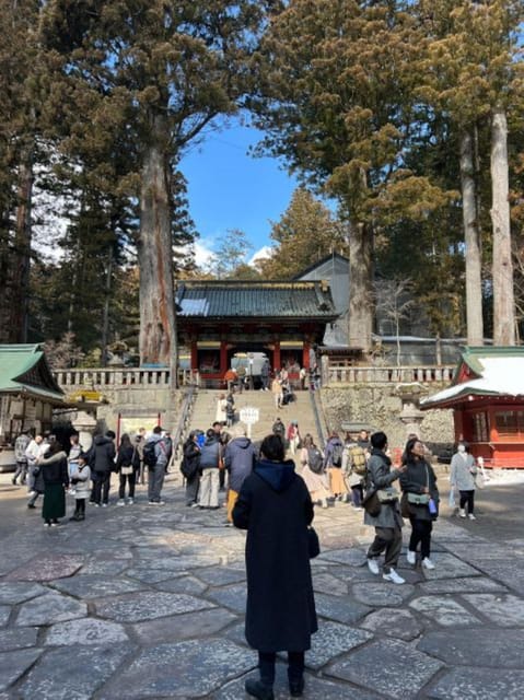 From Tokyo: Nikko 1 Day Private Tour With English Driver - Guidance and Language Options