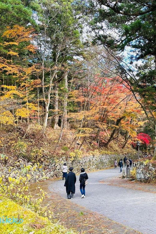 FROM TOKYO: NIKKO WORLD HERITAGE SIGHTS PRIVATE TOUR - Contact Information