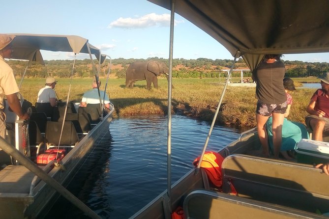 From Victoria Falls: Chobe National Park Small Group Tour - Chobe River Cruise