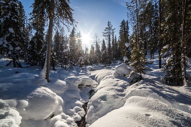 Frozen Waterfalls in Korouoma Canyon Adventure - Explore Korouoma Canyon