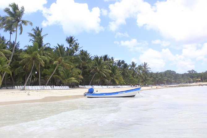 Full-Day Cruise to Saona Island - Natural Pool and Lunch - Transportation