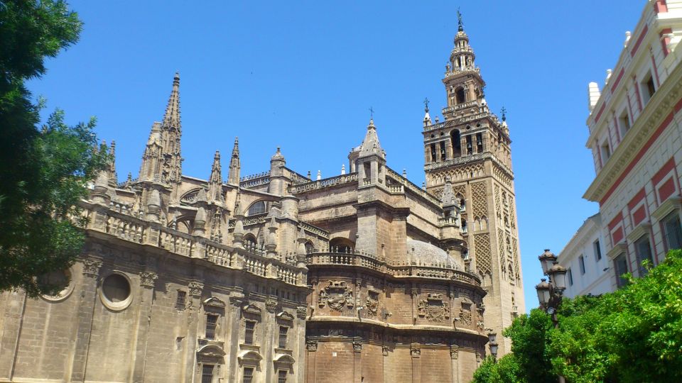 Full-Day Tour of Seville From Costa Del Sol - Customer Feedback