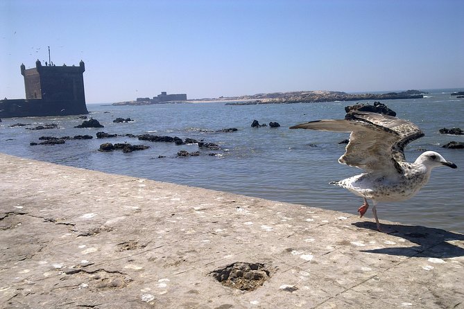 Full-Day Tour to Essaouira - the Ancient Mogador City From Marrakech - Architectural Highlights of Essaouira