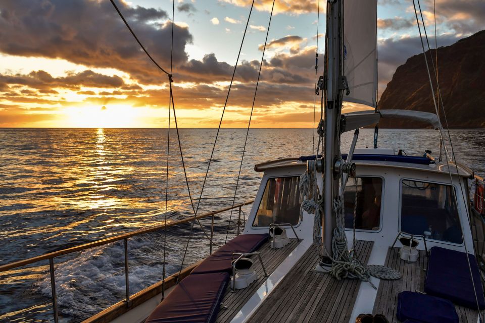 Funchal: Dolphin and Whale Watching Sunset Sailing Tour - Booking and Availability