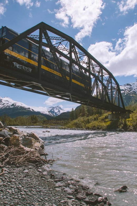 Girdwood: Bears, Trains, & Icebergs Tour - Additional Information