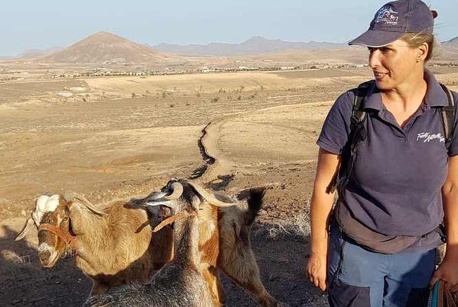 Goat Trekking Fuerteventura - About Fuerte Authentic Tours