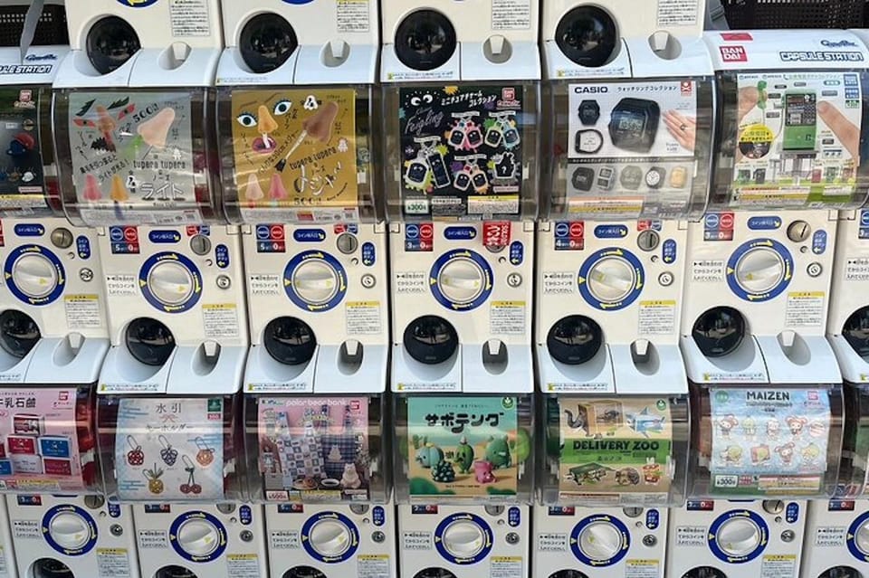 Guided Tour Exploring Anime and Electronics in Akihabara - Inclusions and Exclusions