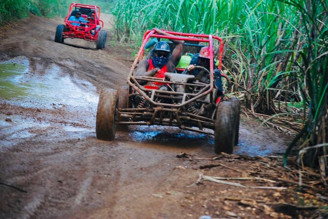 Half-Day ATV or Buggy 4X4 From Bayahibe - La Romana - Common Praises From Reviewers