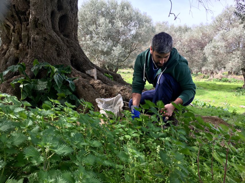 Heraklion: Private Cooking Class & Dinner at a Village House - Frequently Asked Questions