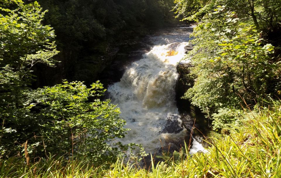 Hike World Heritage Reserve Waterfalls - Highlights of the Hike