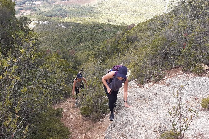 Hiking Tour to the Highest Point of Arrábida Mountain - Scenic Views From the Peak