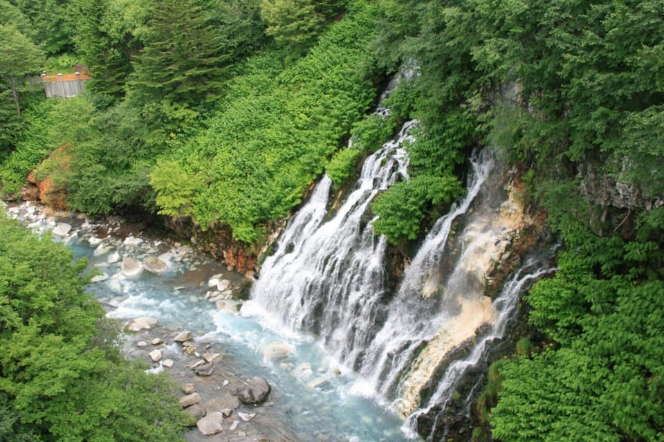 Hokkaido Asahiyama Zoo Tour With Melon Buffet Option - Lunch Options