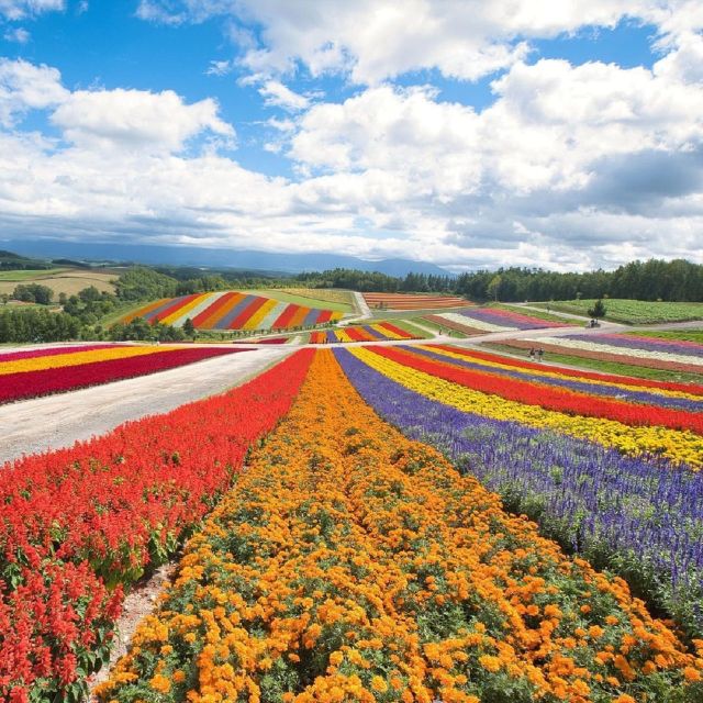 Hokkaido: Biei Blue Pond and Furano Flower Farm Day Trip - Important Considerations