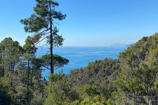 Horse Riding on the Coast of Monterosso Al Mare, Cinque Terre - Confirmation and Accessibility