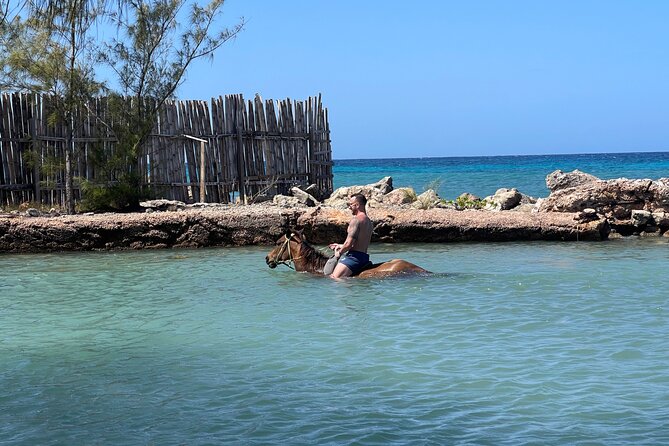 Horseback Ride and Swim Tour In Montego Bay - Transportation Details