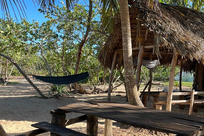 Horseback Riding - Experience Between Virgin Beach and Lagoon - Horse Equipment