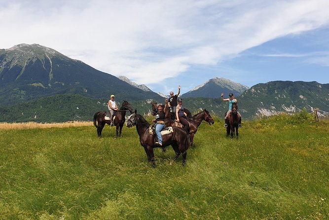 Horseback Riding In Bled - Cancellation Policy and Refund Conditions