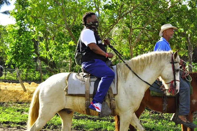 Horseback Riding in the Dominican Jungle - Review Highlights