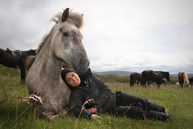 Horseback Riding Tour in Iceland - Icelandic Horses