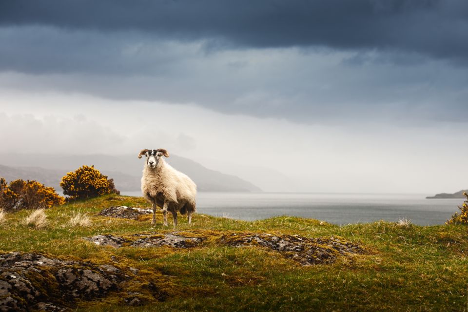 Isle of Mull and Iona 3-Day Small-Group Tour From Glasgow - Pricing and Cancellation Policy