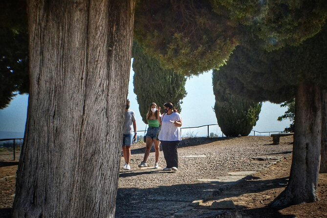 Italica 2-Hour Private Guided Tour From Seville - Exploring Ancient Italica