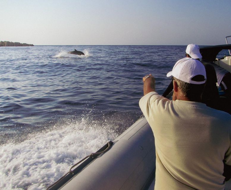 Kamiros Skala: Marine Life Experience & Alimia Island - Island Exploration