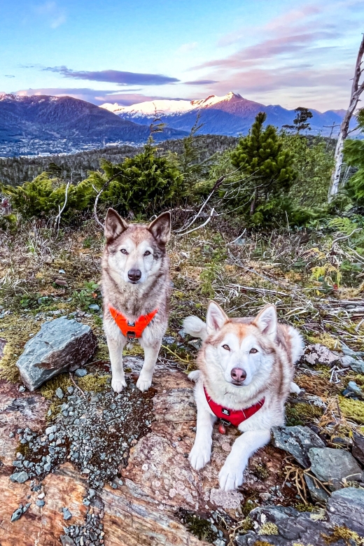 Ketchikan: Husky Walking Tour - Tour Details