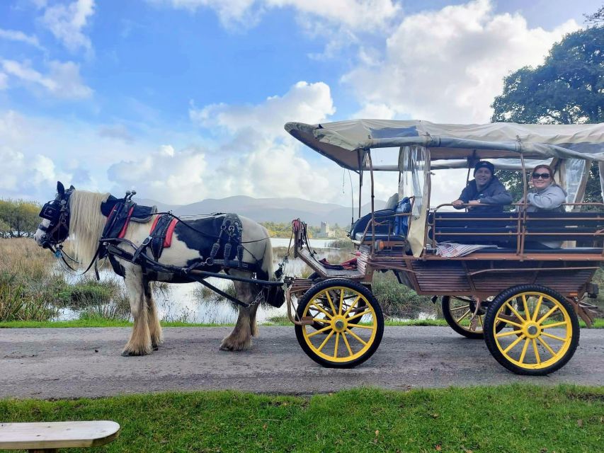 Killarney: Killarney National Park Private Tour - Important Information for Participants