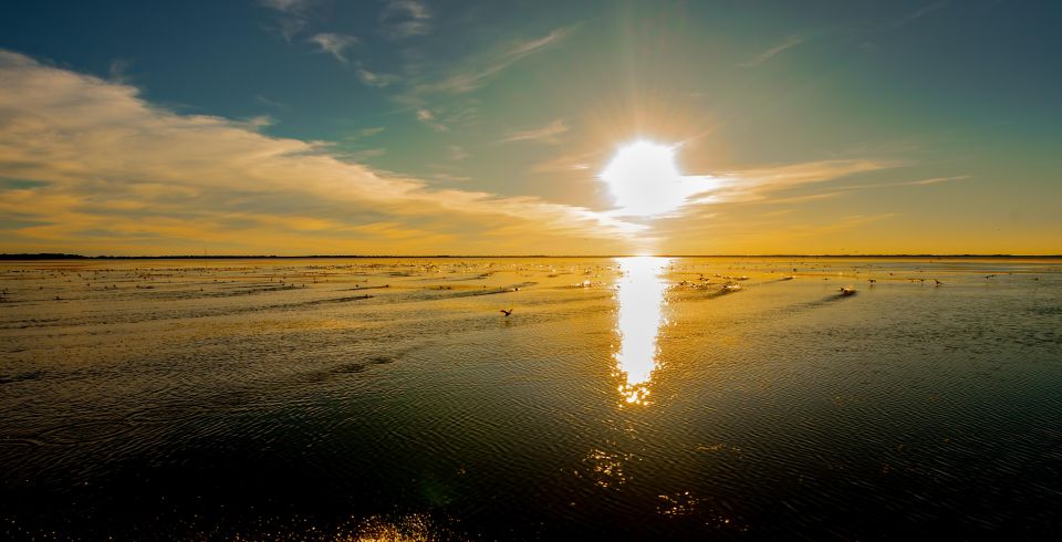 Kissimmee: Boggy Creek Sunset Airboat Tour - Customer Reviews