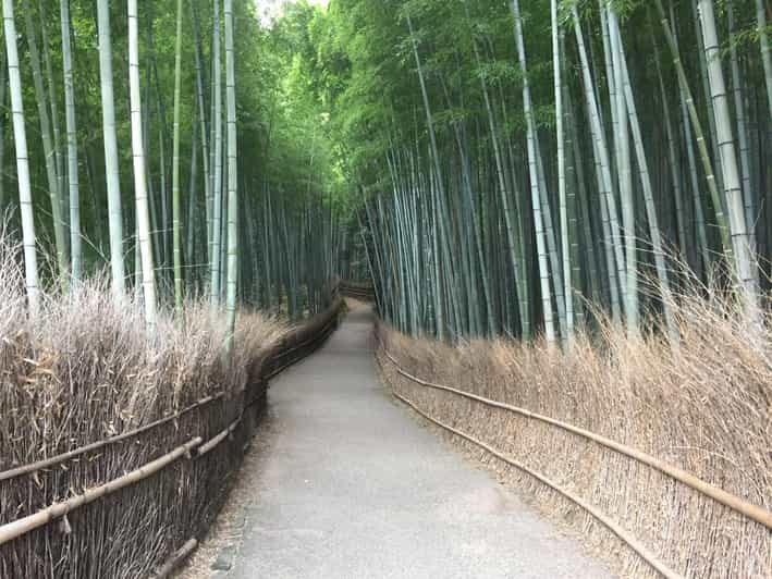 Kyoto, Arashiyama: Bamboo Grove Half-Day Private Guided Tour - Katsura River Promenade