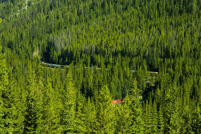 Lake View Full Day Tour 2-Moraine Lake, Lake Louise and Emerald - Moraine Lake