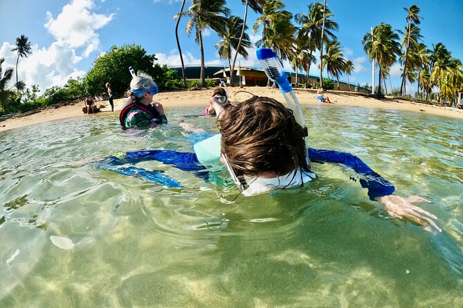 Learn to Snorkel for Families W Children in San Juan, Puerto Rico - Small Group Size Benefits