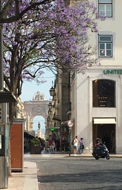 Lisbon: Chiado the Bohemian Walking Tour Downhill to Baixa - Professional Tour Guide