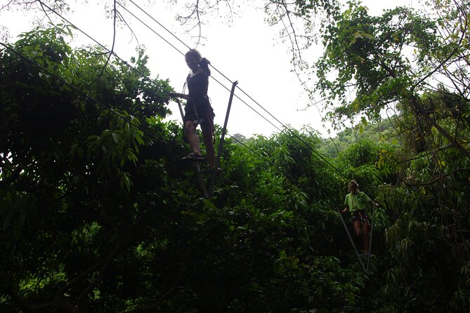 Loterie Farm: Fly Zone Treetop Zip-Line Adventure - Health and Safety Guidelines