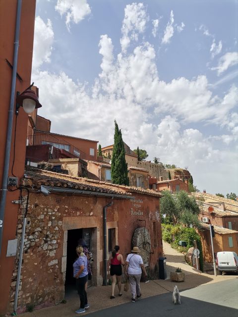 Luberon Wine and Charm: Explore the Flavors of the South - Immersive Wine Tasting Experience