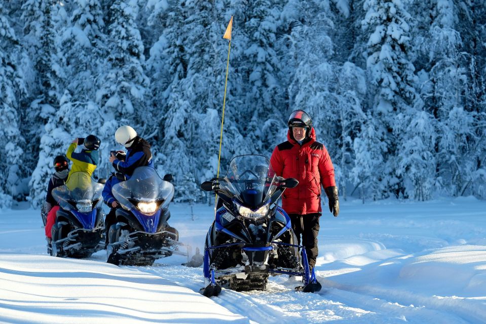 Luleå: Snowmobile - Forest and Ice Nature Tour 2h - Whats Included in the Tour