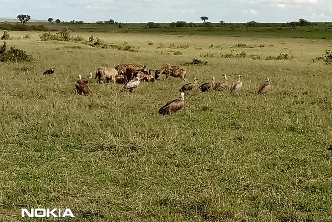 Maasai Mara Game Reserve - Private Tour and Participation