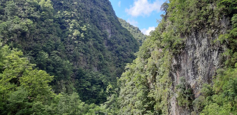 Madeira: Private Levada Fajaˆ Dos Rodrigues Walk - Altitude and Distance Covered