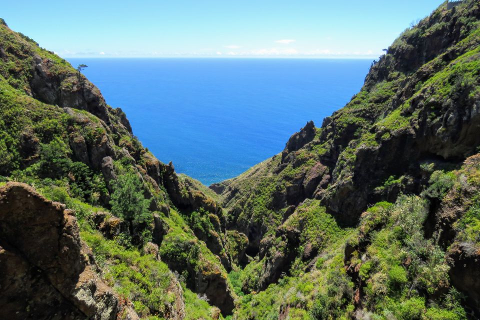 Madeira: Santo Da Serra Local Farmers Market Half Day Trip - Review Highlights