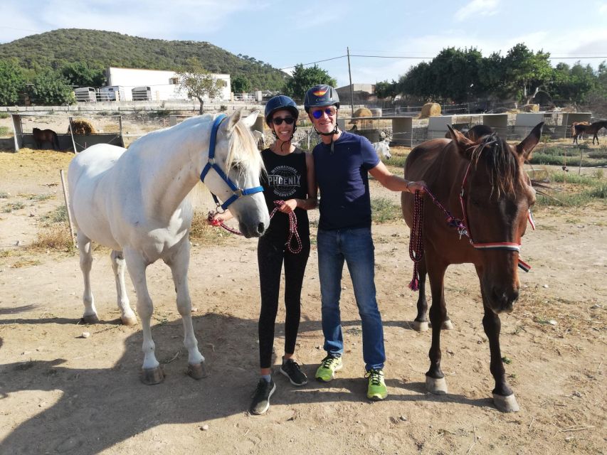 Mallorca: Guided Horseriding Tour of Randa Valley - Customer Ratings and Feedback