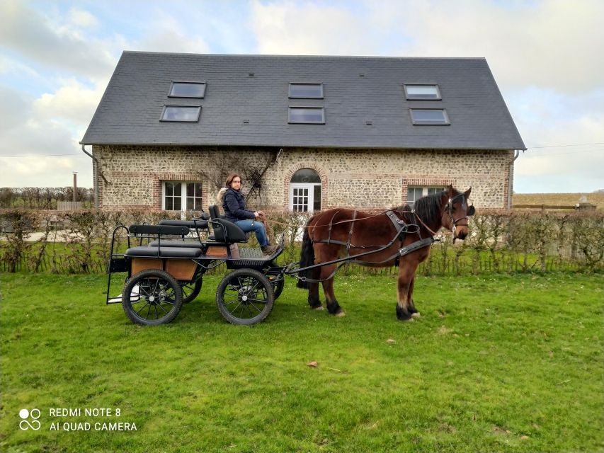 Mentheville: Horse-Drawn Carriage Ride in the Countryside - Duration and Pricing Details