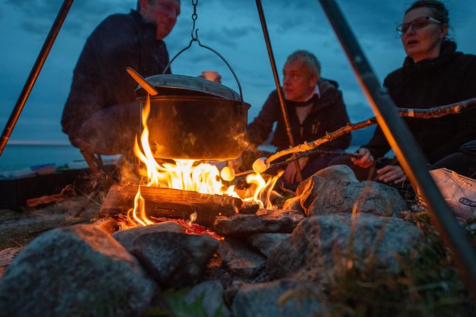 Midnight Sun Campfire Tour From Tromso - Accessibility and Communication