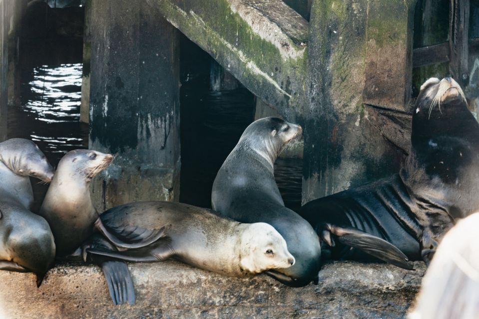 Monterey Bay: Whale Watching Tour - Customer Feedback