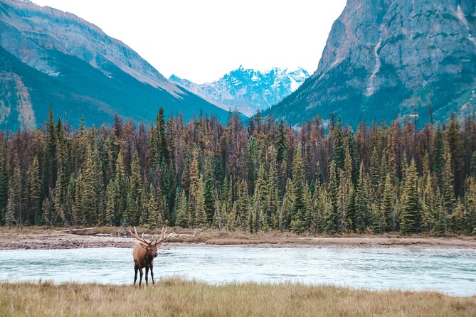 Moraine Lake, Lake Louise & Banff Secrets | Award-Winning Tour - Breathtaking Landscapes